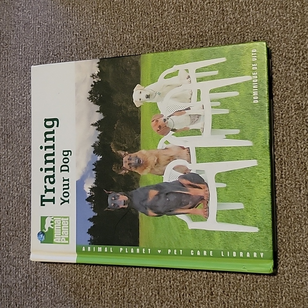 Training Your Dog